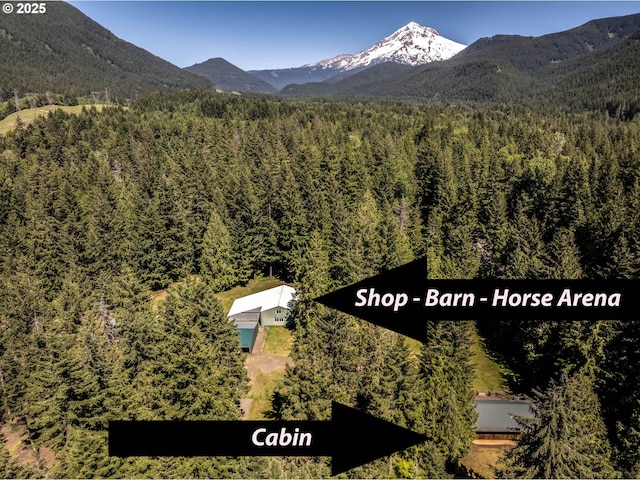 20480 E Lolo Pass Rd, Rhododendron, OR 97049 - mountain view featuring a heavily wooded area
