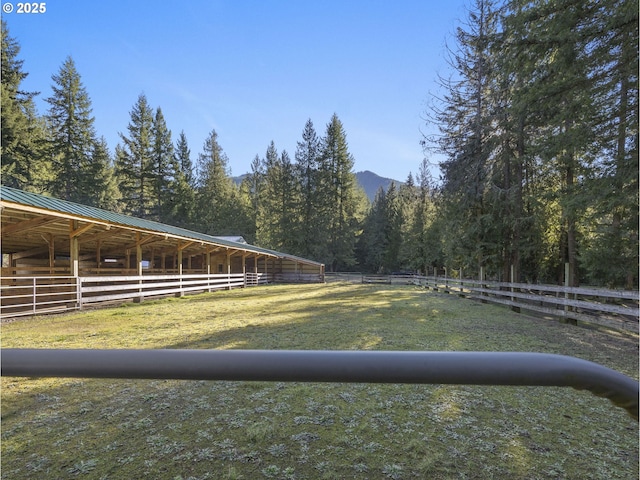 view of yard featuring a mountain view