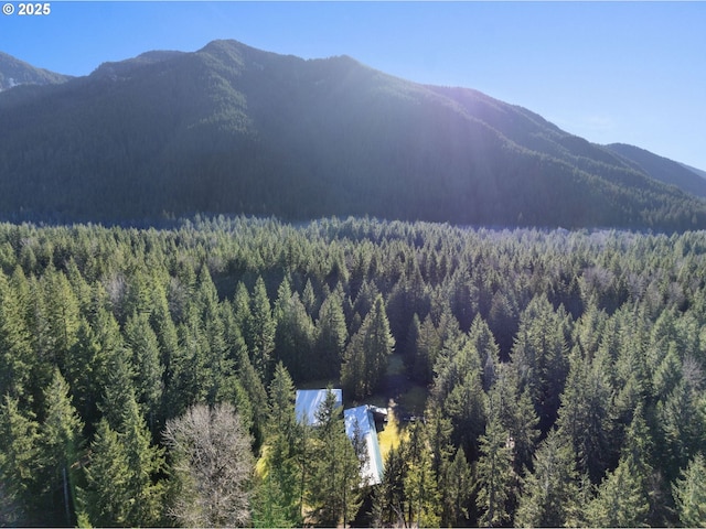 property view of mountains