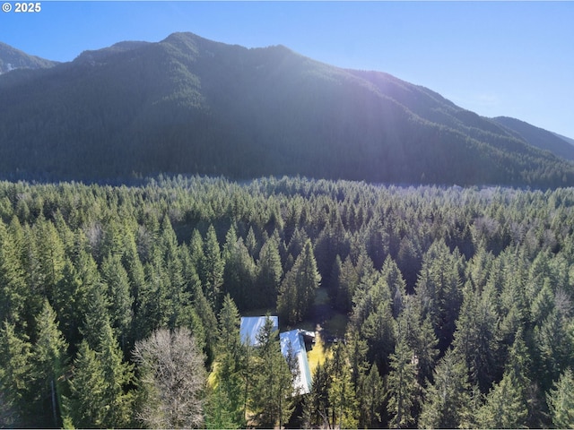 20480 E Lolo Pass Rd, Rhododendron, OR 97049 - mountain view with a heavily wooded area