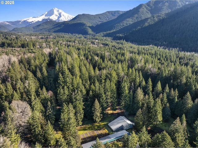 20480 E Lolo Pass Rd, Rhododendron, OR 97049 - view of mountain background featuring a heavily wooded area