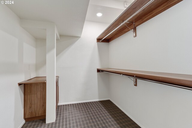 spacious closet with dark carpet