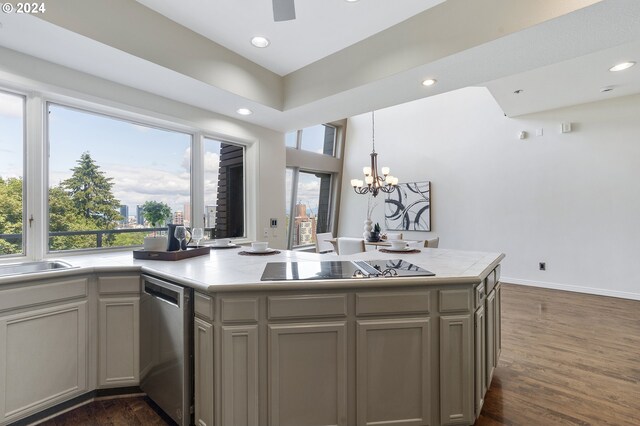 kitchen with stainless steel dishwasher, a healthy amount of sunlight, and dark wood-type flooring