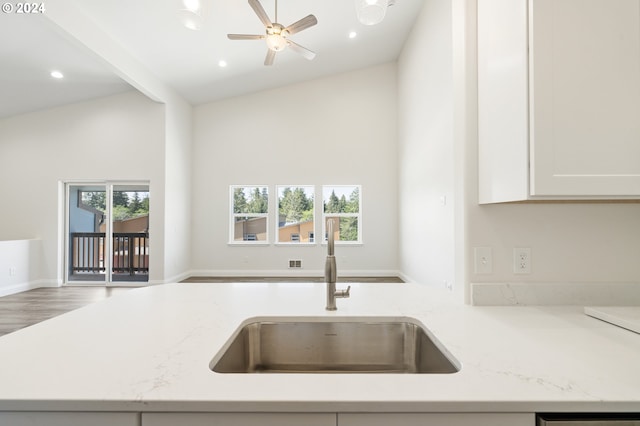 kitchen featuring wood-type flooring, light stone counters, a healthy amount of sunlight, and sink