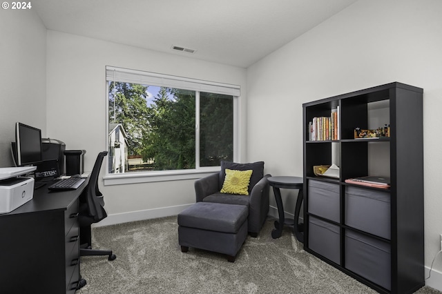 carpeted office with vaulted ceiling