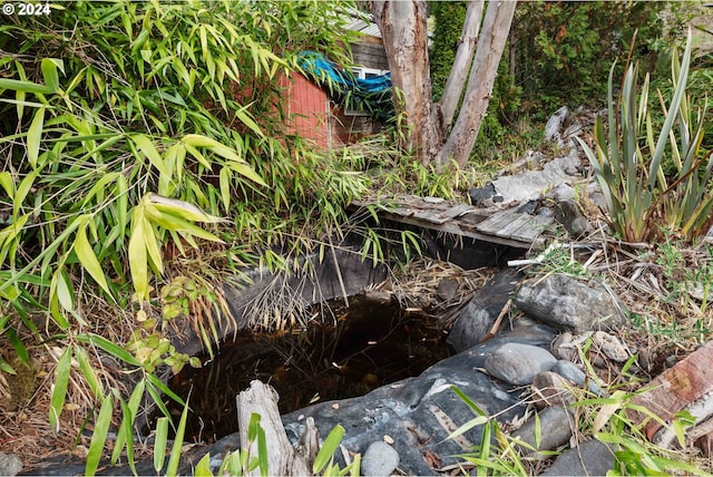 details with a small pond