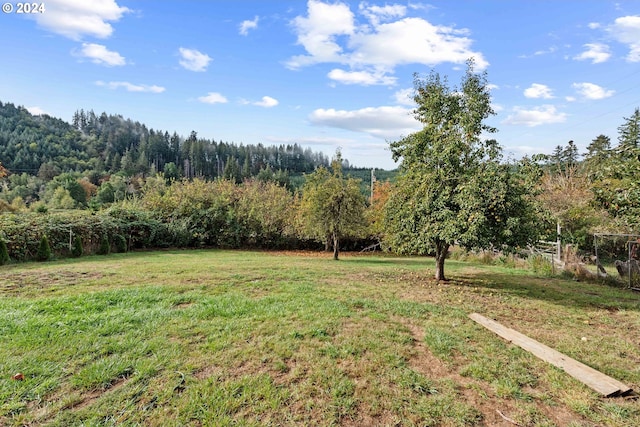 view of yard with a forest view