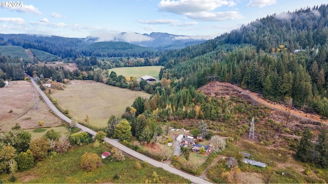 birds eye view of property featuring a view of trees, a mountain view, and a rural view