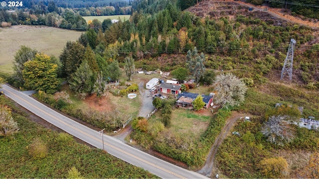 bird's eye view