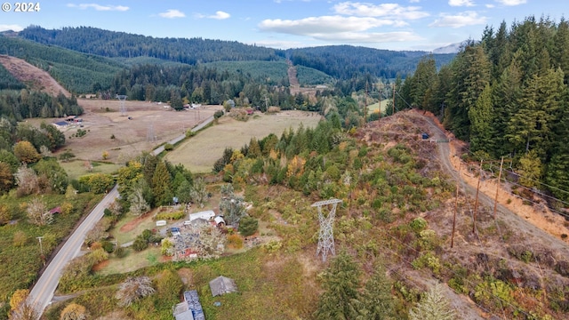 birds eye view of property featuring a view of trees and a mountain view
