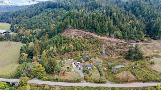 birds eye view of property with a view of trees and a mountain view