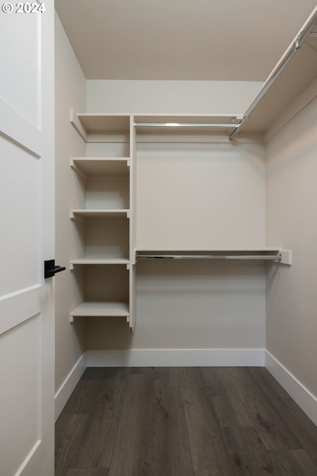 spacious closet featuring dark wood-type flooring