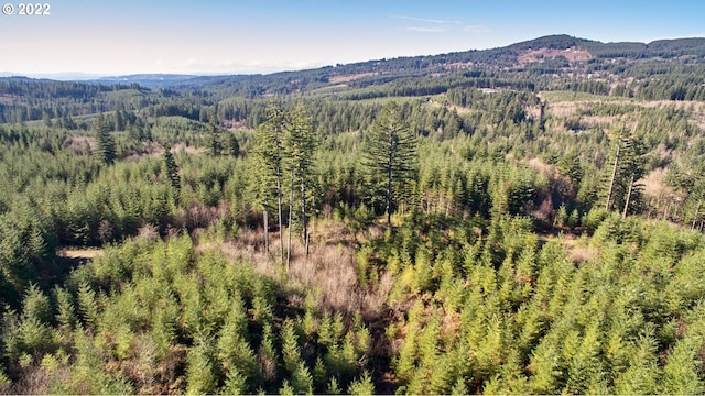 3 NE Jones Creek Rd, Camas, WA 98607