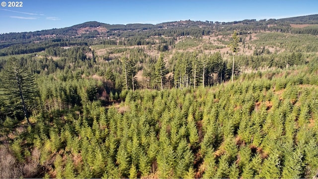 3 NE Jones Creek Rd, Camas, WA 98607