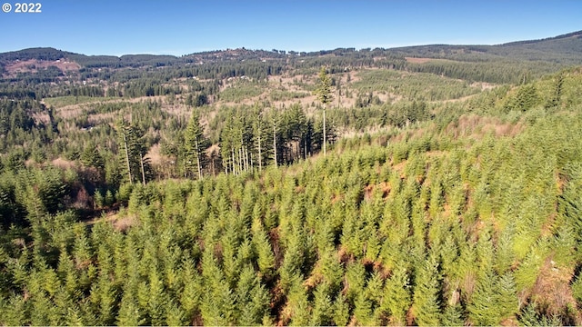3 NE Jones Creek Rd, Camas, WA 98607
