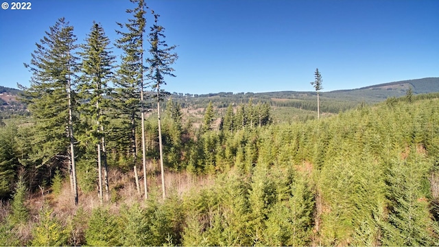 3 NE Jones Creek Rd, Camas, WA 98607
