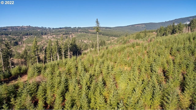 3 NE Jones Creek Rd, Camas, WA 98607