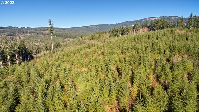 3 NE Jones Creek Rd, Camas, WA 98607