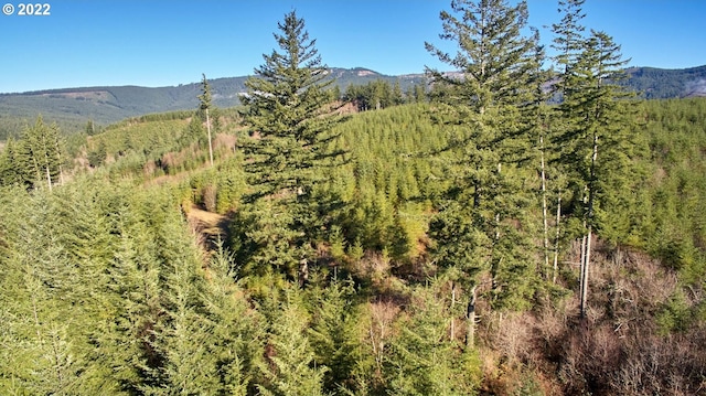 3 NE Jones Creek Rd, Camas, WA 98607