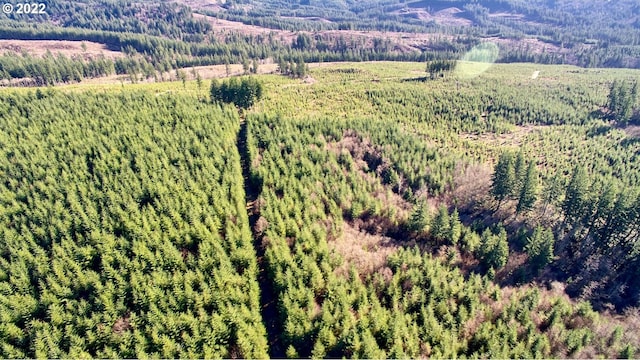 3 NE Jones Creek Rd, Camas, WA 98607