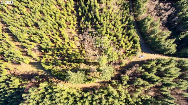3 NE Jones Creek Rd, Camas, WA 98607