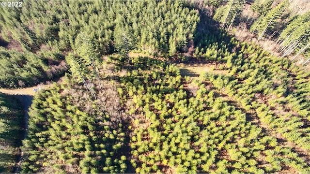3 NE Jones Creek Rd, Camas, WA 98607