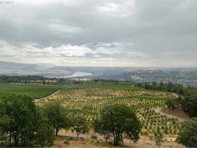 drone / aerial view featuring a mountain view and a rural view