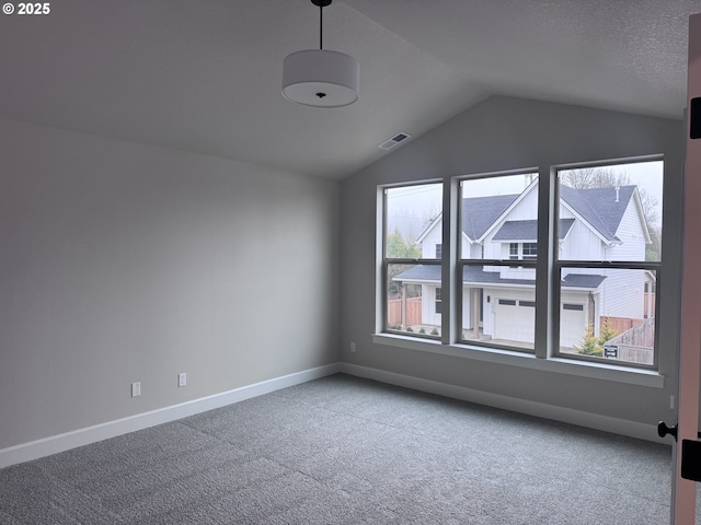 additional living space featuring carpet floors, plenty of natural light, and vaulted ceiling