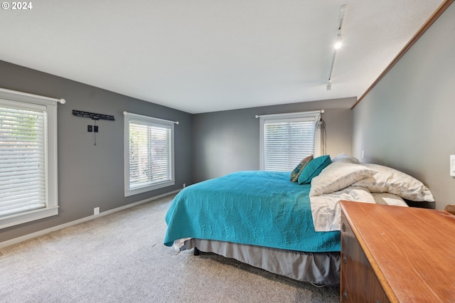 bedroom with multiple windows, track lighting, and carpet flooring