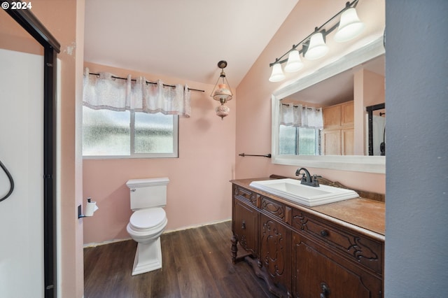 bathroom with vanity, lofted ceiling, wood-type flooring, and toilet