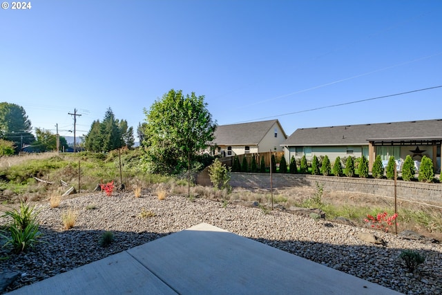 view of yard featuring a patio area