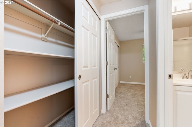 closet featuring sink