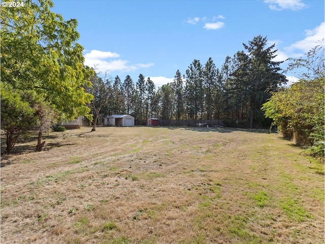 view of yard with a shed