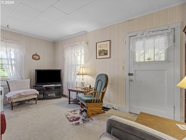 living room featuring carpet and a wealth of natural light