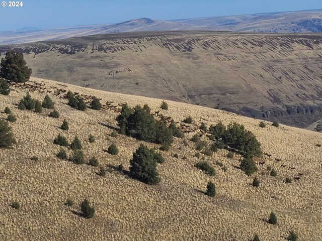 view of mountain feature