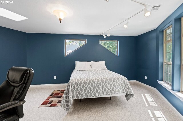 bedroom featuring rail lighting and carpet