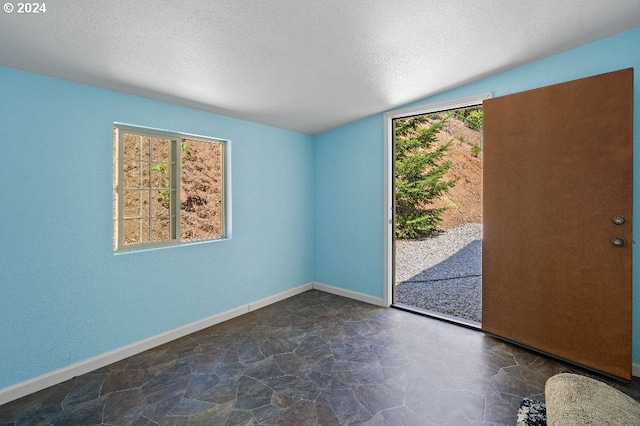 spare room featuring vaulted ceiling, a wealth of natural light, and a textured ceiling