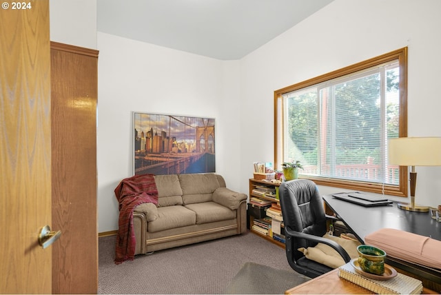 office with a wealth of natural light and carpet flooring