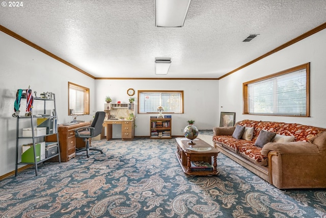 living room featuring crown molding and a textured ceiling