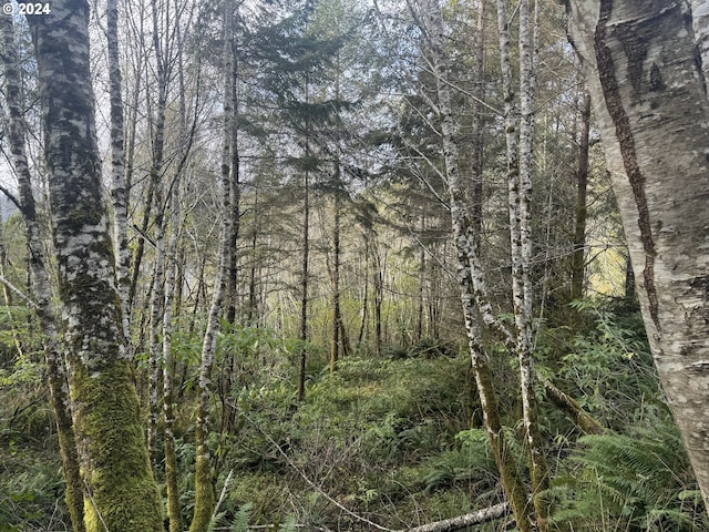 2 Potato Bottom Rd Unit 602, Lakeside, OR 97449