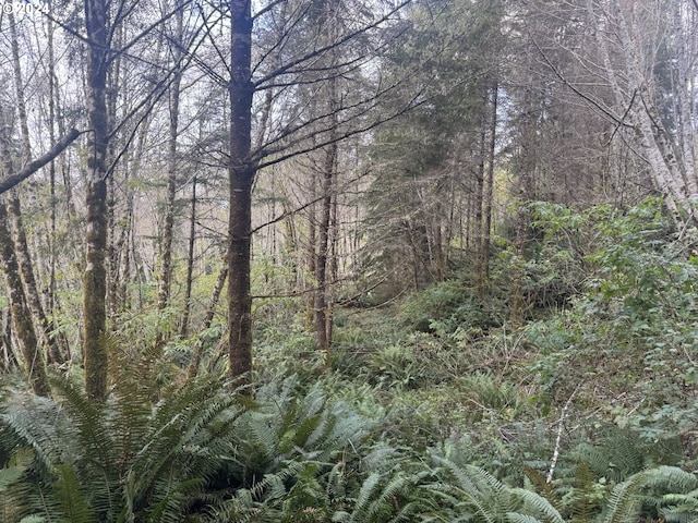 2 Potato Bottom Rd Unit 602, Lakeside, OR 97449