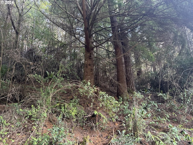 2 Potato Bottom Rd Unit 602, Lakeside, OR 97449