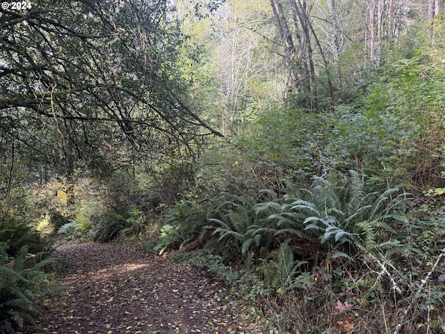 2 Potato Bottom Rd Unit 602, Lakeside, OR 97449