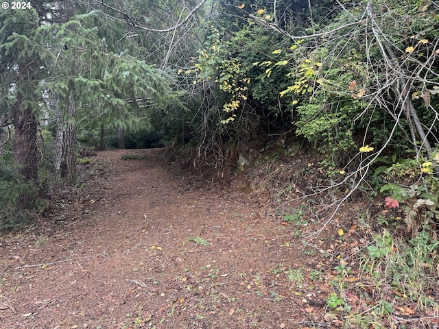 2 Potato Bottom Rd Unit 602, Lakeside, OR 97449