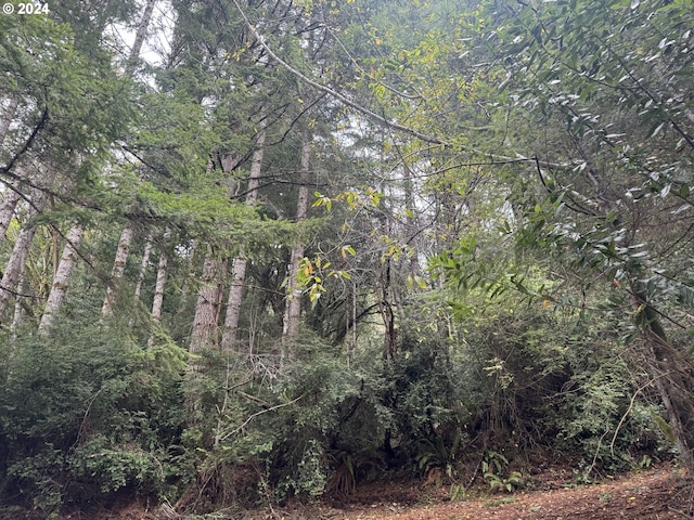 2 Potato Bottom Rd Unit 602, Lakeside, OR 97449