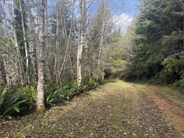 2 Potato Bottom Rd Unit 602, Lakeside, OR 97449