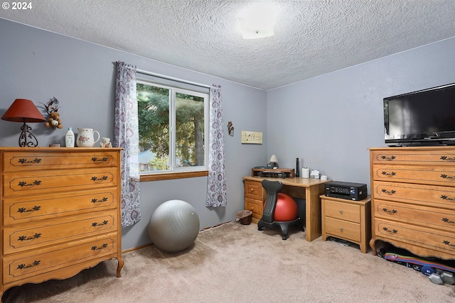 office area featuring light carpet and a textured ceiling