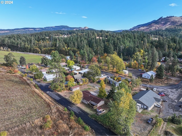 drone / aerial view featuring a mountain view