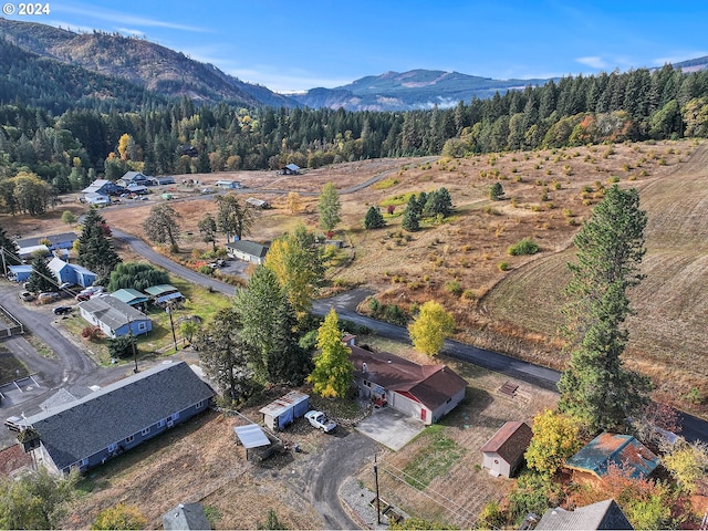 drone / aerial view featuring a mountain view