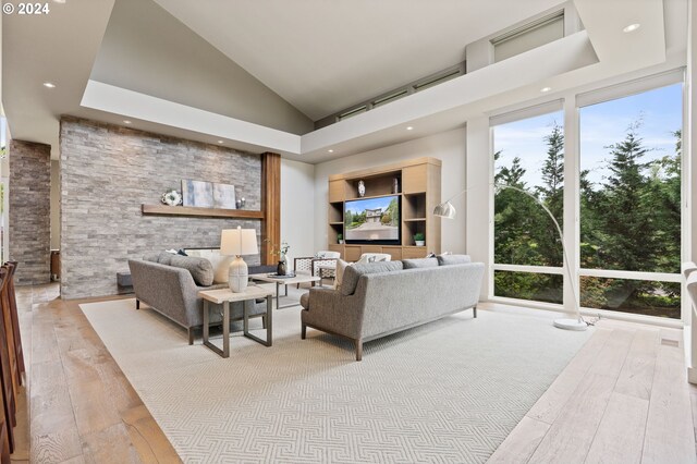 living room with high vaulted ceiling and light hardwood / wood-style floors